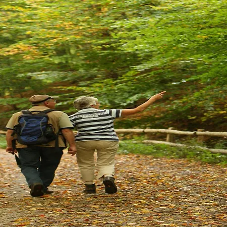 In Netherlands With Private Garden בית נופש Plasmolen