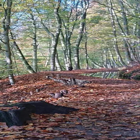 בית נופש In Netherlands With Private Garden *