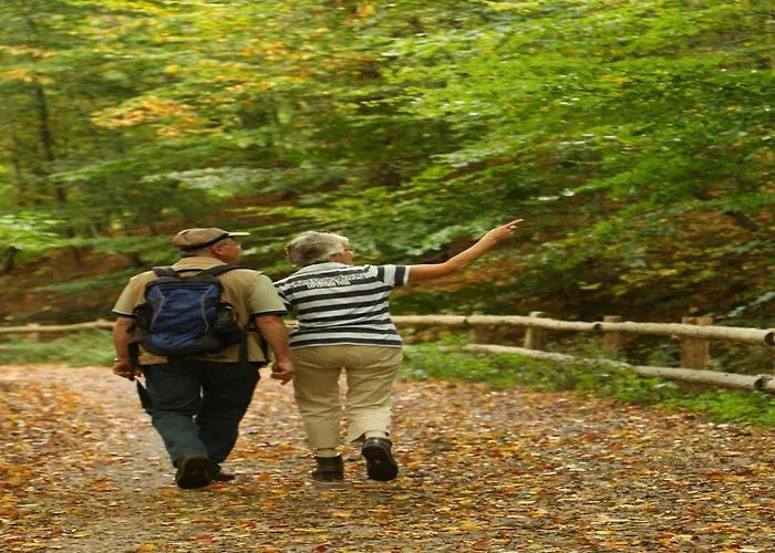 In Netherlands With Private Garden Сasa de vacaciones Plasmolen