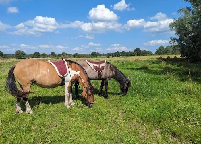 Сasa de vacaciones In Netherlands With Private Garden