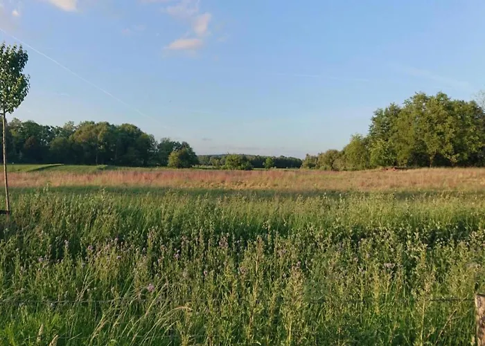 In Netherlands With Private Garden Plasmolen