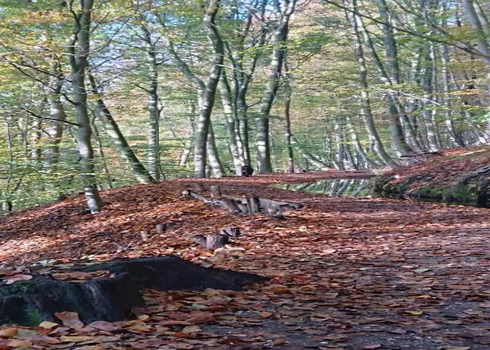 Сasa de vacaciones In Netherlands With Private Garden *