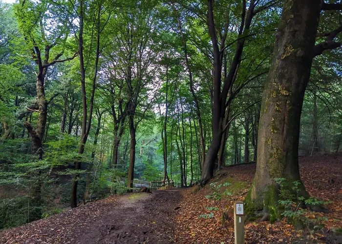 In Netherlands With Private Garden *