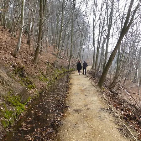 度假居 In Netherlands With Private Garden *