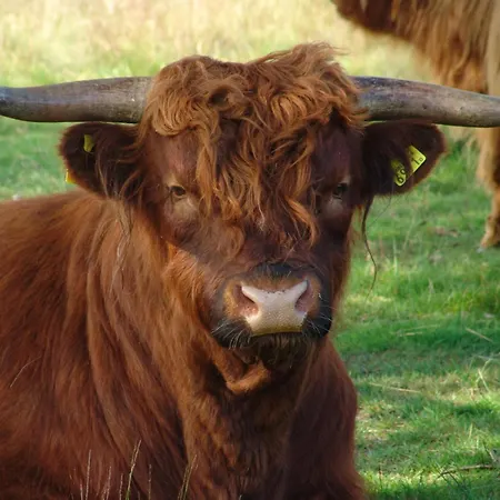 度假居 In Netherlands With Private Garden