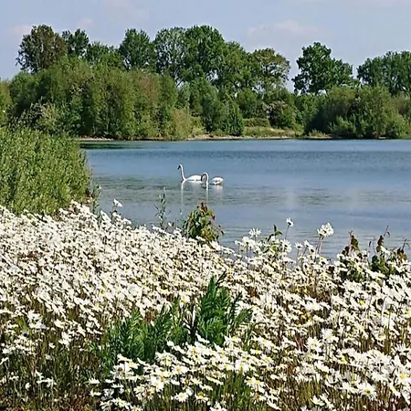 度假居 In Netherlands With Private Garden Plasmolen