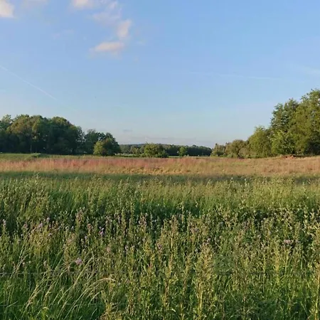 In Netherlands With Private Garden Plasmolen