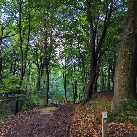 In Netherlands With Private Garden *